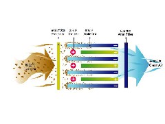 江门静电油烟净化怎么清洗过滤网